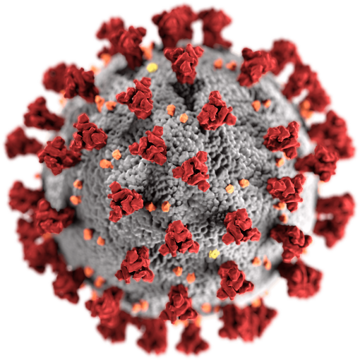 Virus image