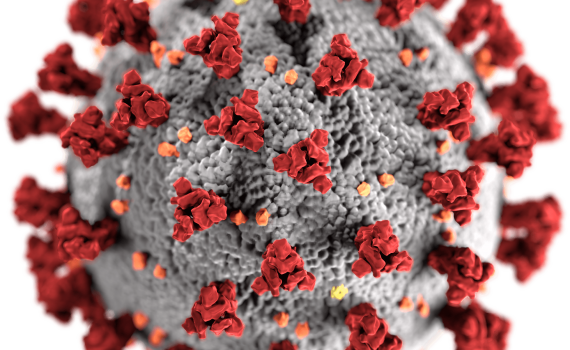 Virus image